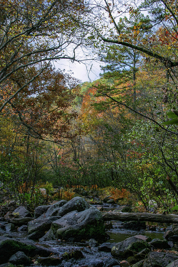 Autumn At Pickle Creek 6289 H_2 Photograph by Steven Ward