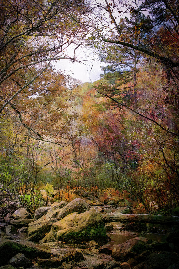 Autumn At Pickle Creek Digital Painting 6289 DP_2 Photograph by Steven Ward