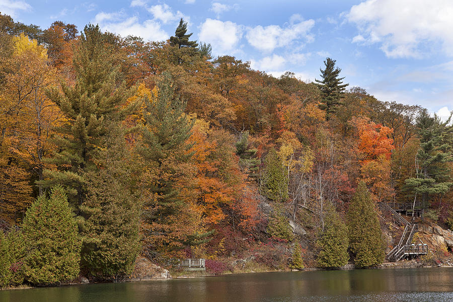 Autumn at Pink Lake Photograph by Eunice Gibb