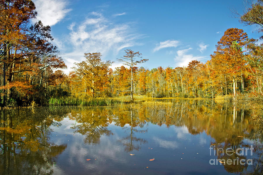 Autumn at Powhatan Creek Park Photograph by Karen Jorstad