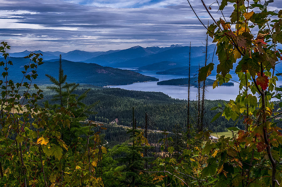 Autumn At Priest Lake Photograph by Yeates Photography