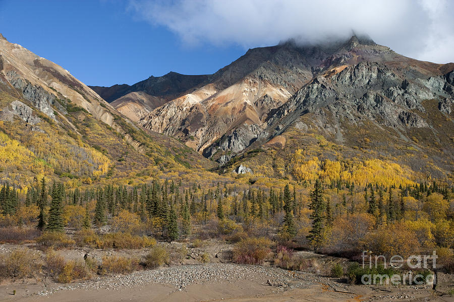 Fall Photograph - Autumn at Sheep Mountain by Tim Grams