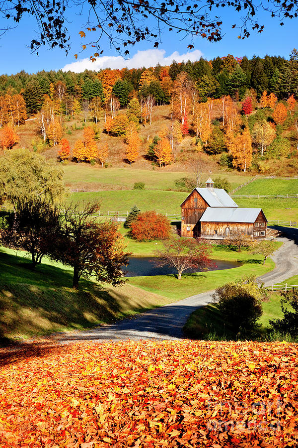 Autumn at Sleepy Hollow Photograph by Brian Jannsen