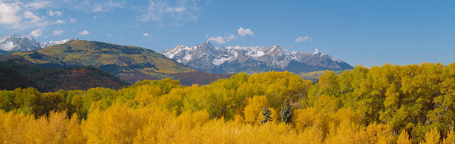Autumn At Sneffels Mountain Range, San Photograph by Panoramic Images
