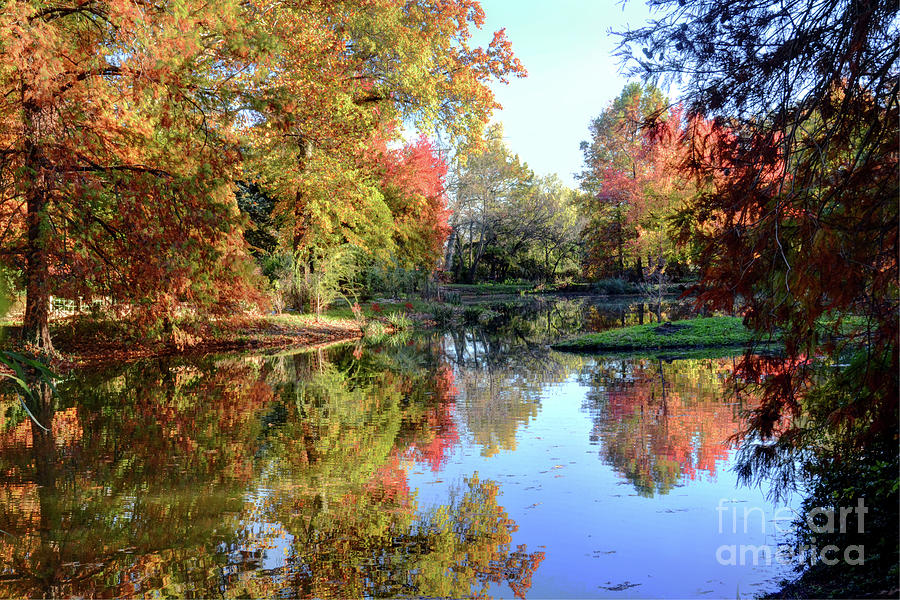 Autumn at the Arboretum Photograph by Michael Ciskowski