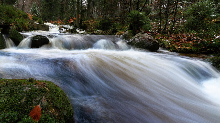 Autumn At The Bode, Harz Photograph