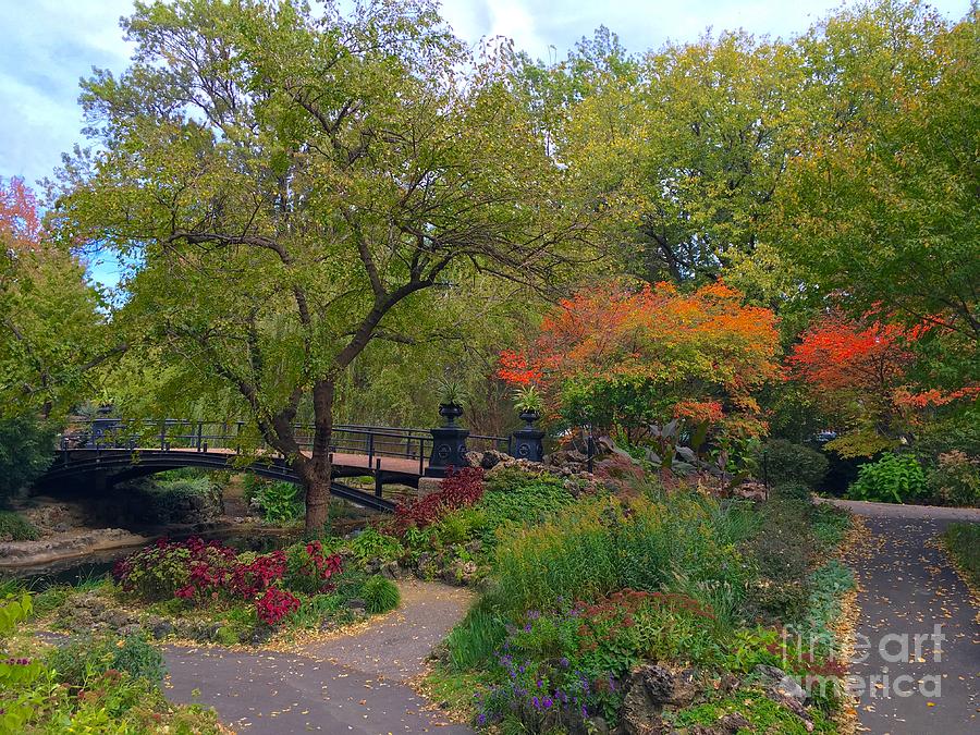 Autumn At The Bridge In Lafayette Park Photograph by Debbie Fenelon