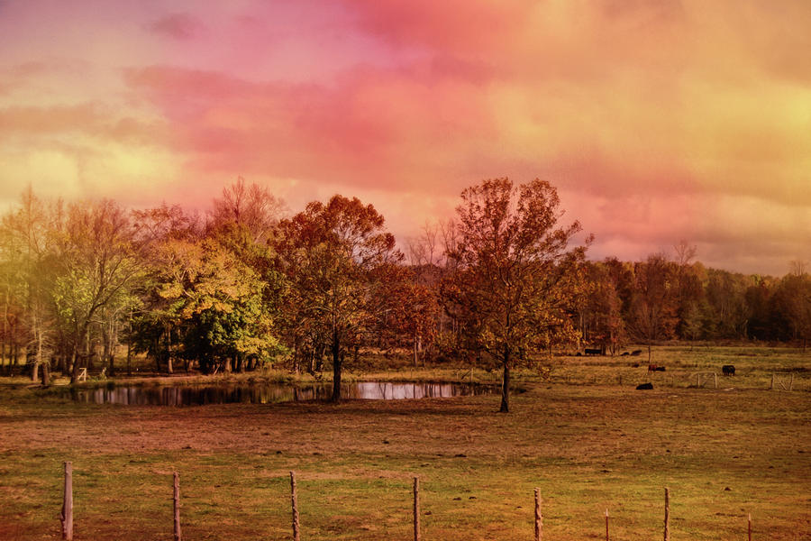 Autumn At The Cattle Farm Landscape Art Photograph by Jai Johnson