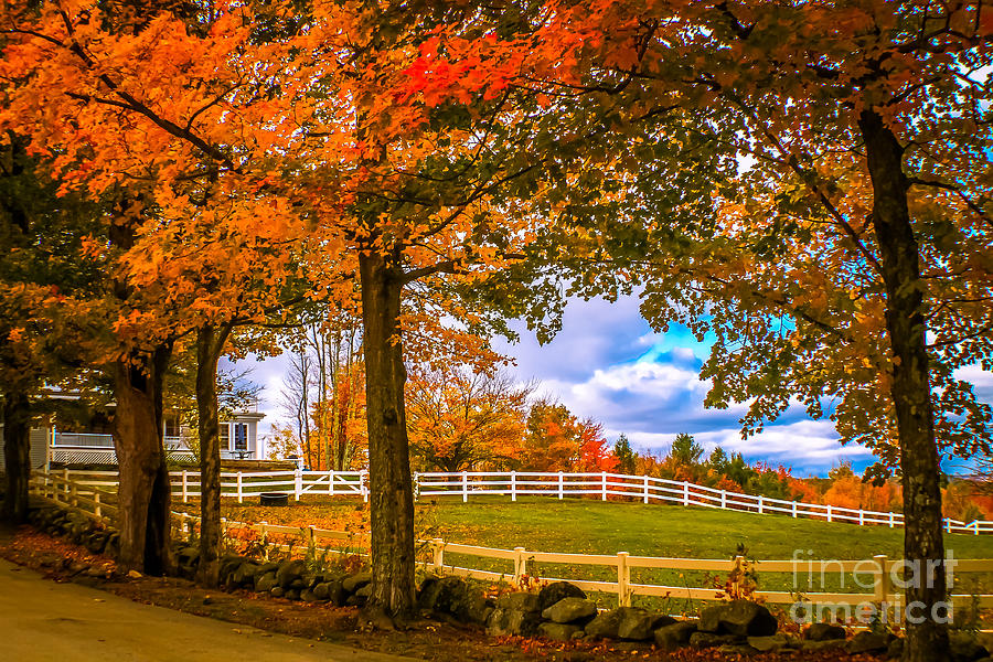 Autumn at the farm 2 Photograph by Claudia M Photography