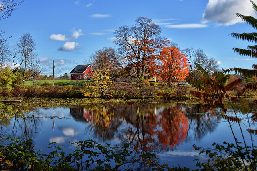 Tree Photograph - Autumn At The Farm by Tricia Marchlik