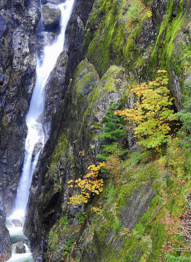 Autumn at the Gorge Waterfall Photograph by Sandra Peery