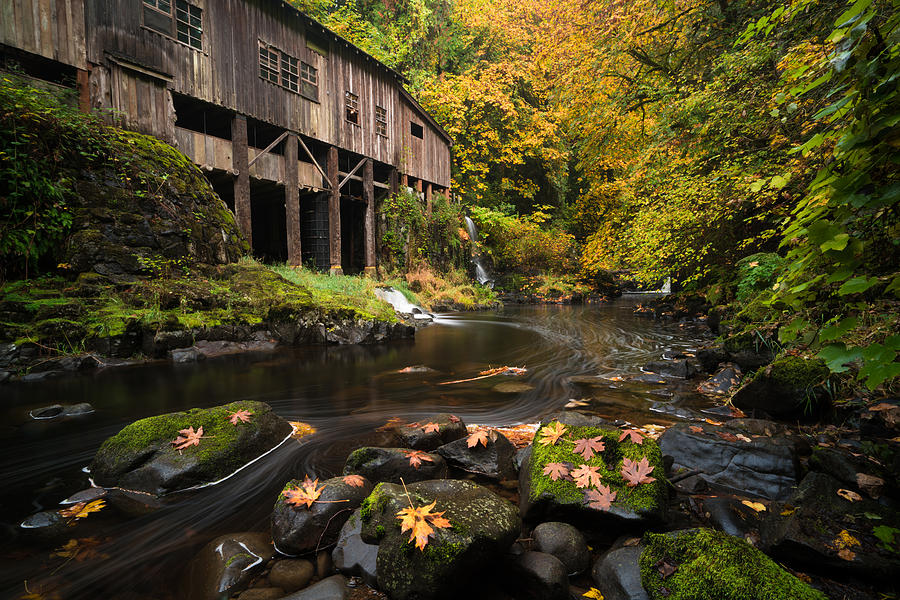Autumn at the Grist Mill Photograph by Brian Bonham