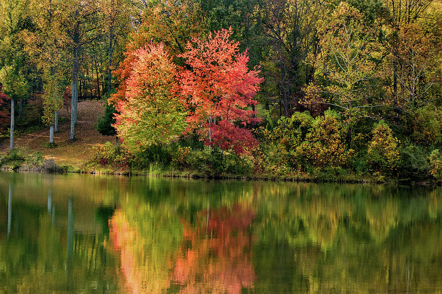 Autumn at the Lake Photograph by Don Johnson