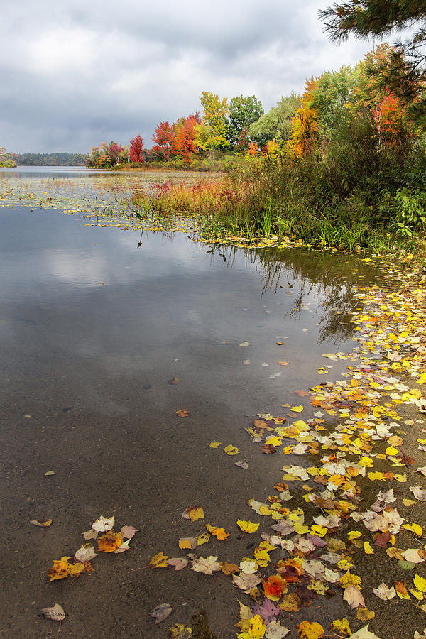 Landscape Photograph - Autumn at the Lake in NH by Betty Denise