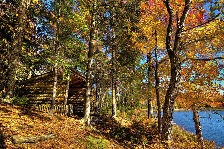 Autumn at the Lean-to Photograph by David Patterson