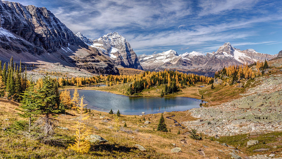 Autumn at the Opabin Plateau Photograph by Pierre Leclerc Photography