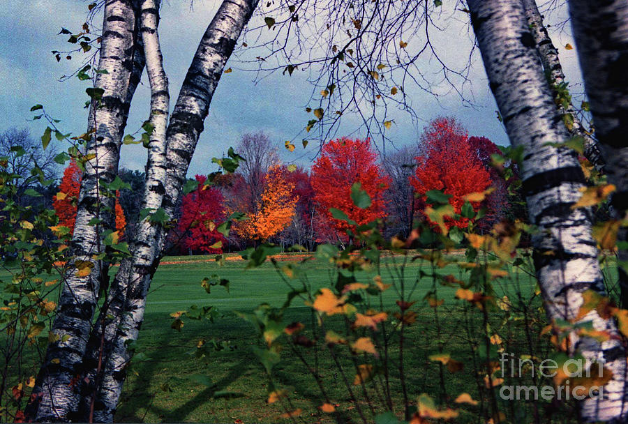 Autumn at the Orchards GC South Hadley MA Photograph by Imagery-at- Work