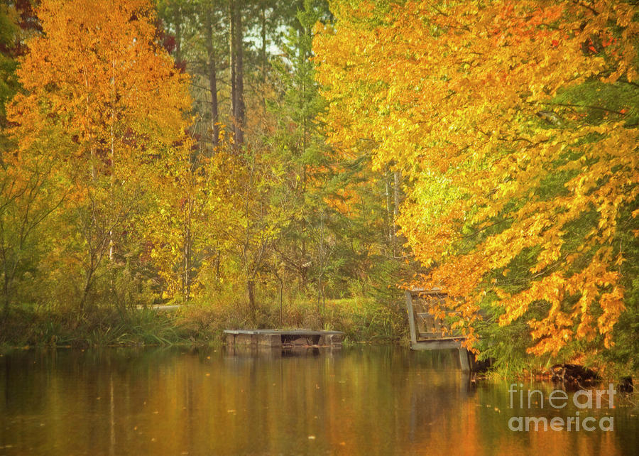 Autumn at the Pond Photograph by Hal Halli - Fine Art America