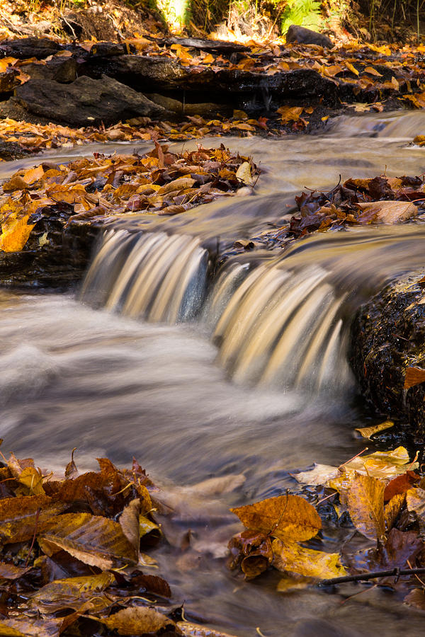 Autumn at Towes Creek Falls Photograph by Lee and Michael Beek