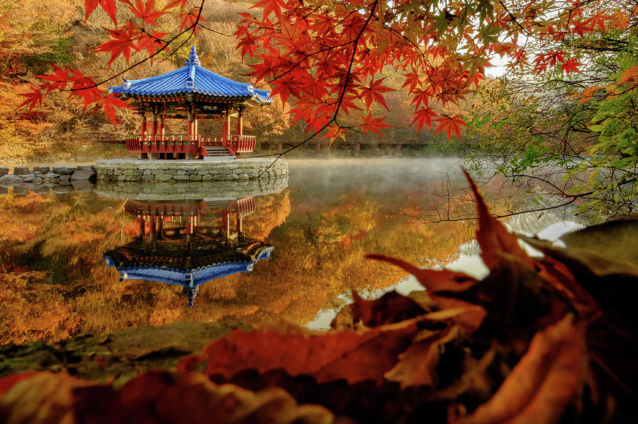 Autumn at Uhwajeong Pavillon Photograph by Roy Cruz