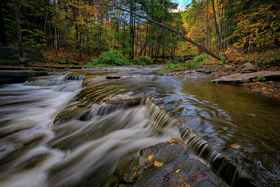 Fall Photograph - Autumn at Wolf Creek by Rick Berk