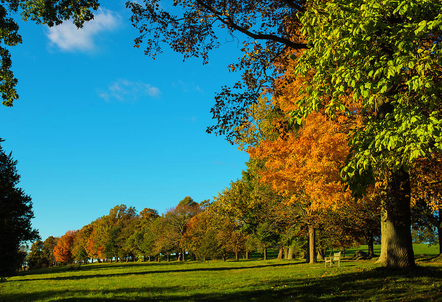 Autumn At World's End by John Forde Autumn At World's End by John Forde