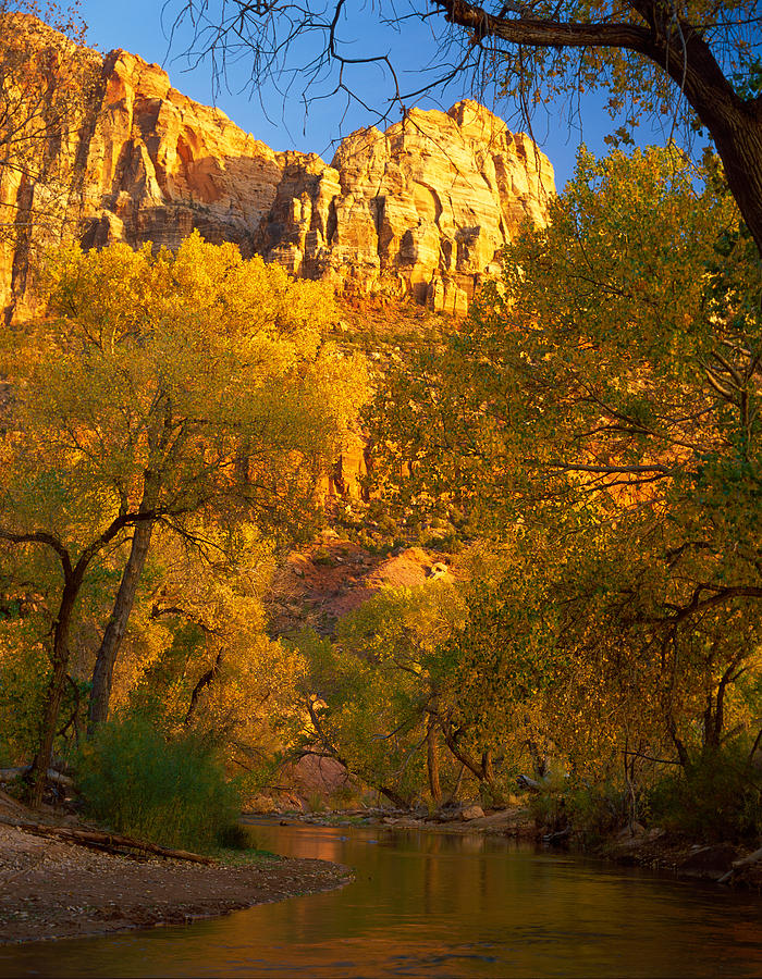 Autumn at Zion Photograph by Johan Elzenga