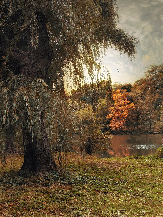 Nature Photograph - Autumn Awaits by Jessica Jenney