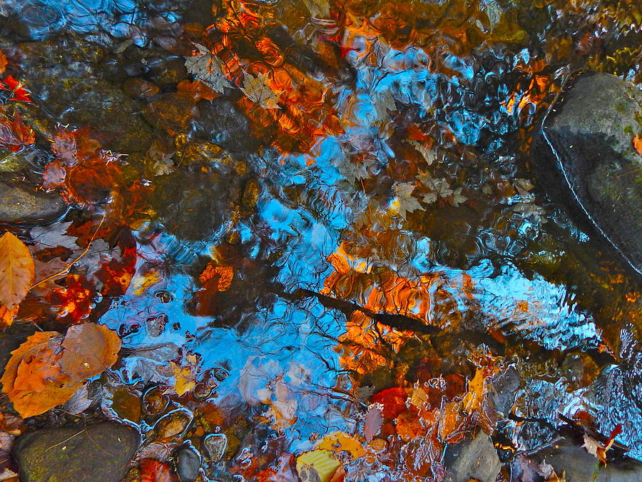 Autumn B 2015 65 Photograph by George Ramos