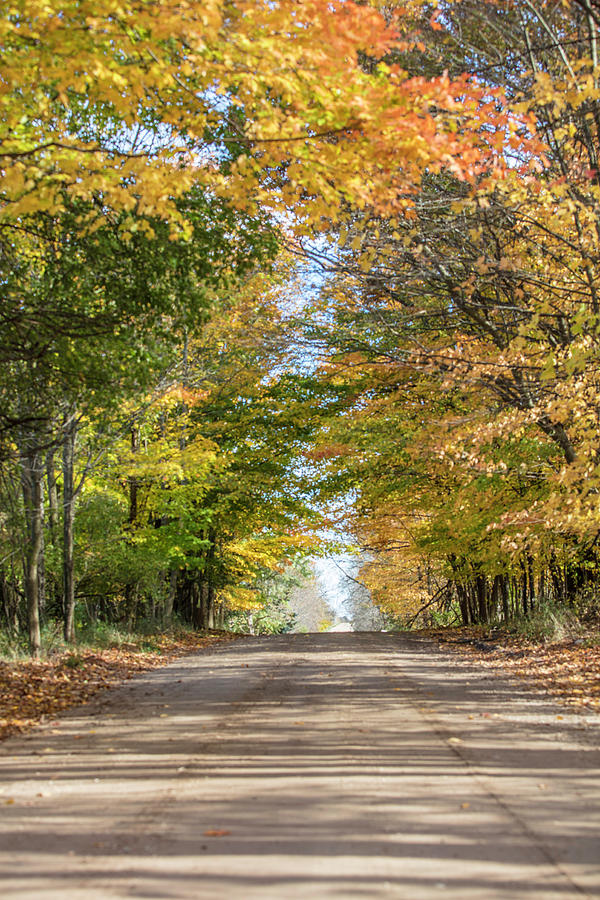 Autumn Backroad  Photograph by John McGraw