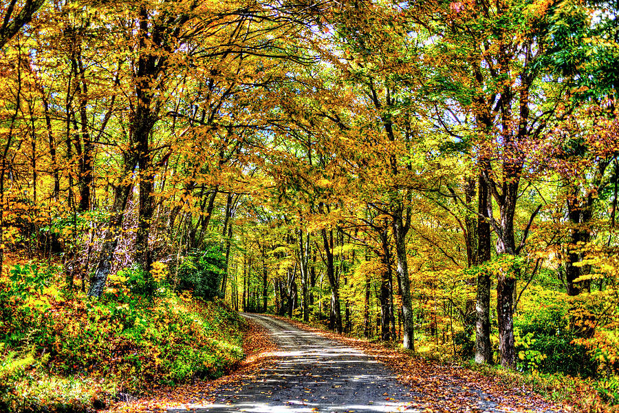 Autumn Backroads Photograph by Dale R Carlson