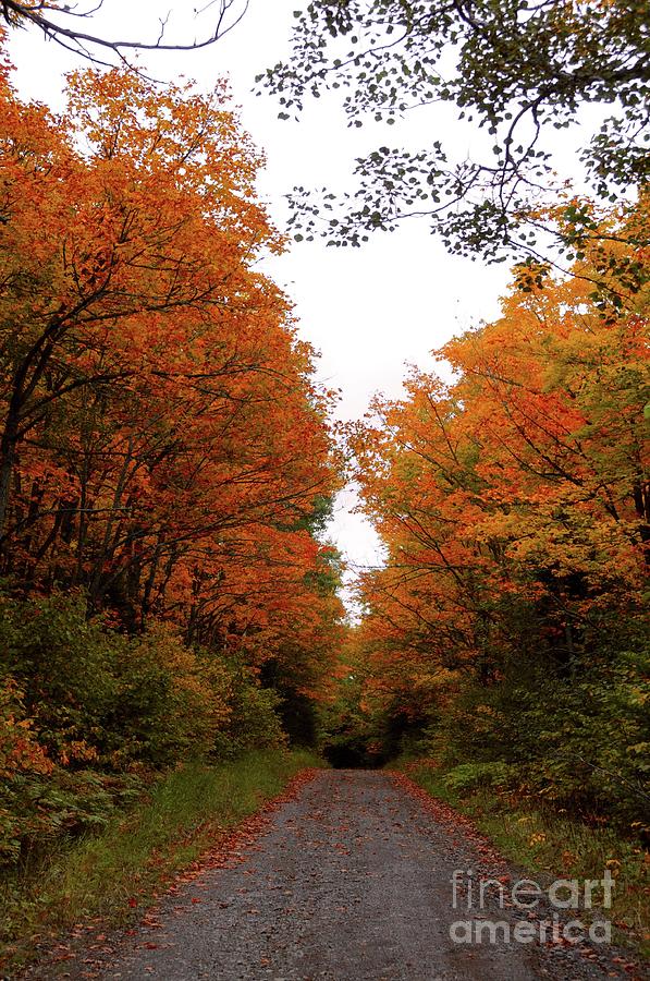 Autumn Backroads Photograph by Sandra Updyke