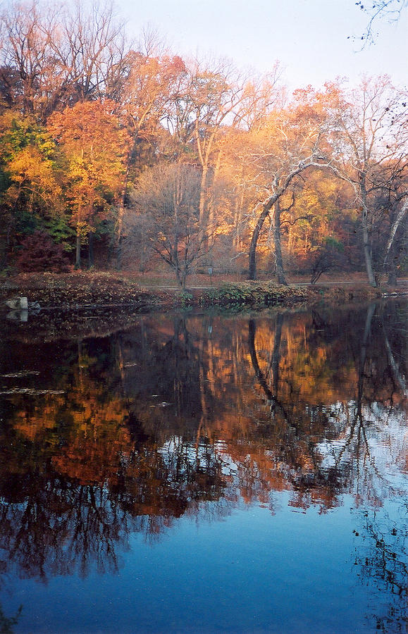 Autumn Banks of the Brandywine Photograph by Emery Graham