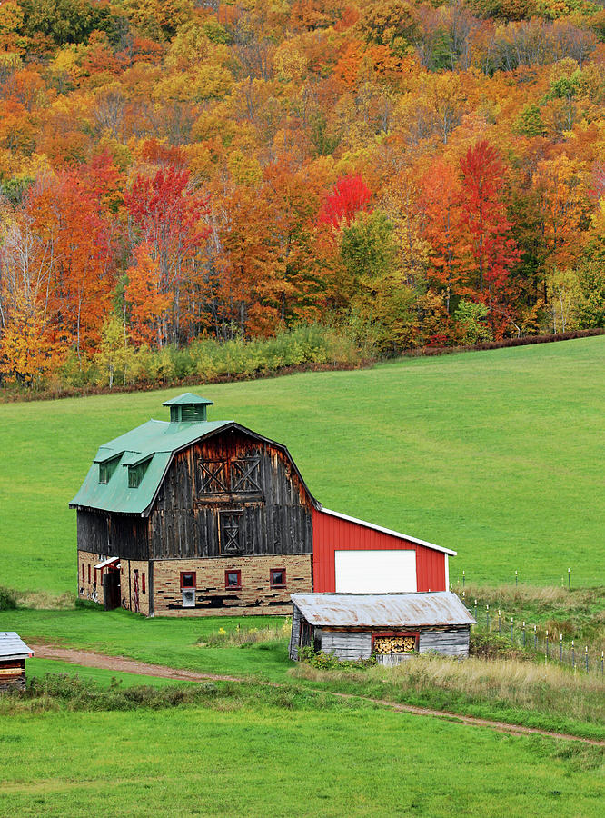 Autumn Barn Photograph by Brook Burling
