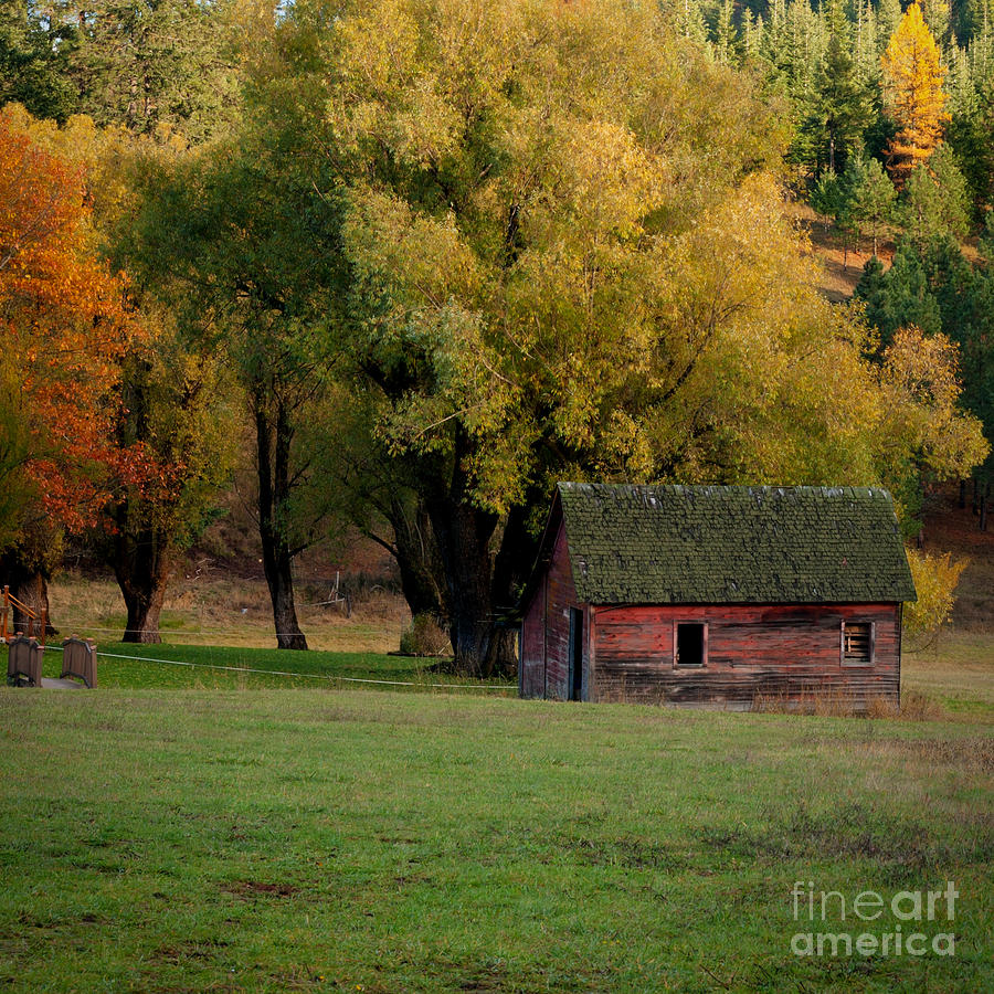 Autumn Barn Photograph by Idaho Scenic Images Linda Lantzy