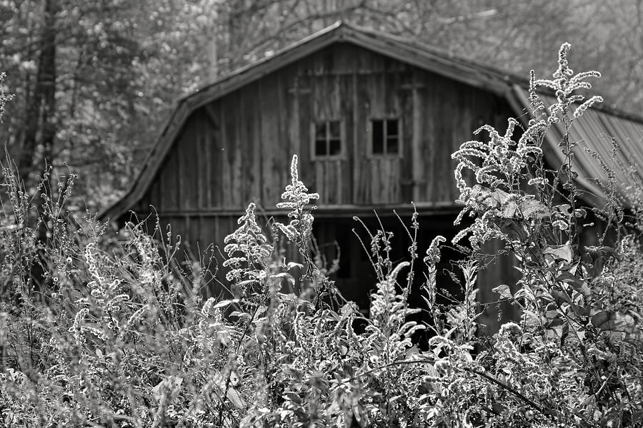 Autumn Barn in B - W by H H Photography of Florida Photograph by HH Photography of Florida