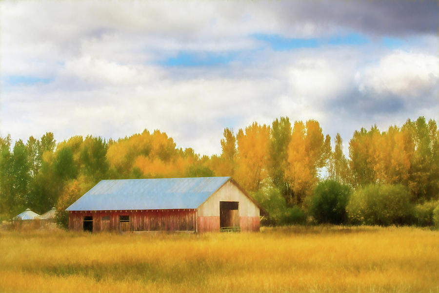 Autumn Barn. Driggs, Idaho Photograph by TL Mair