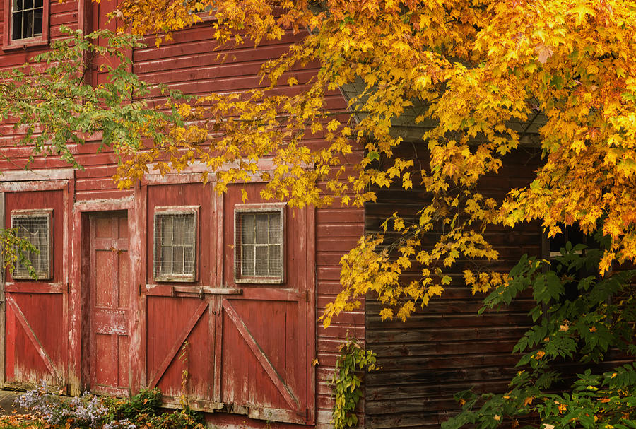 Autumn Barn Photograph by Tom Singleton