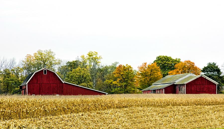Autumn Barns Photograph by Pat Cook