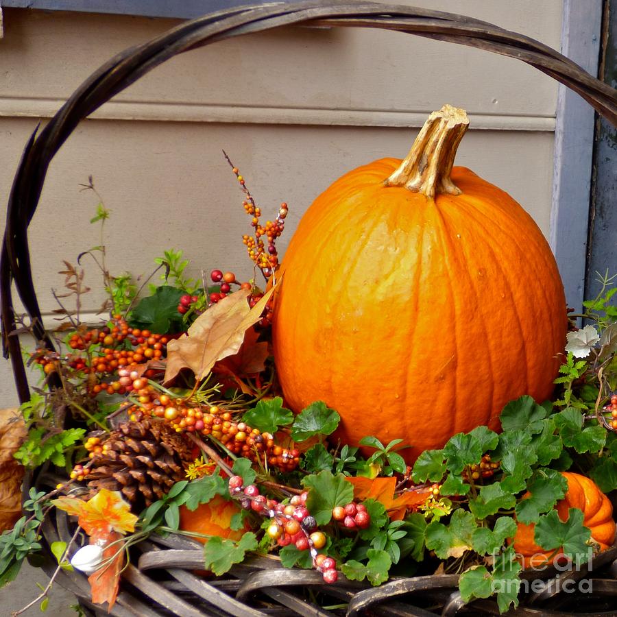 Autumn Basket Photograph by Jean Wright