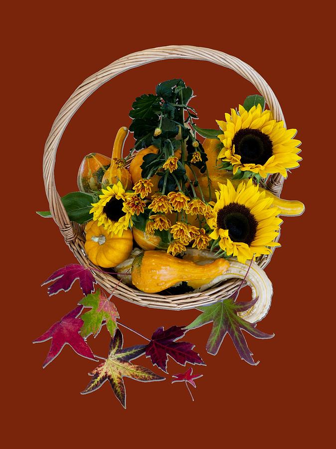 Autumn Basket Photograph by Rae Tucker - Fine Art America