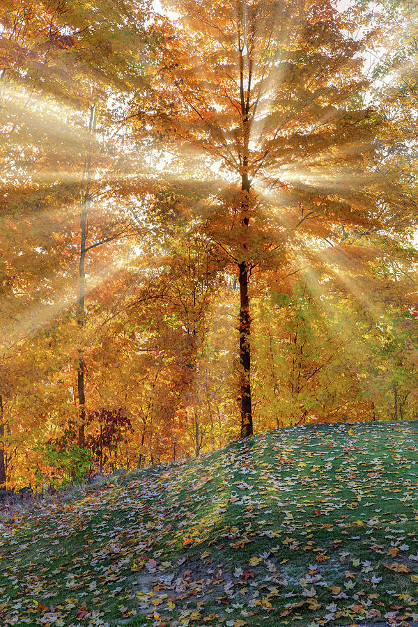 Autumn Beams Photograph by Bill Wakeley - Fine Art America