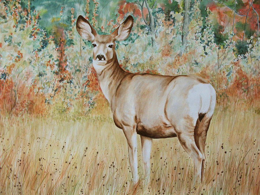 Autumn Beauty- Mule Deer Doe Painting by Elaine Booth-Kallweit - Fine ...