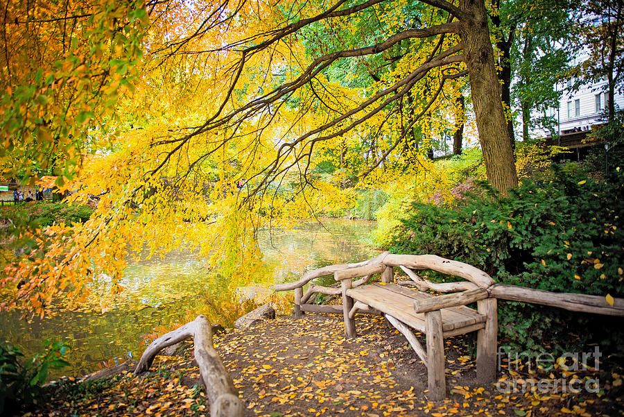 Central Park Photograph - Autumn Bench Meadow by Anna Serebryanik