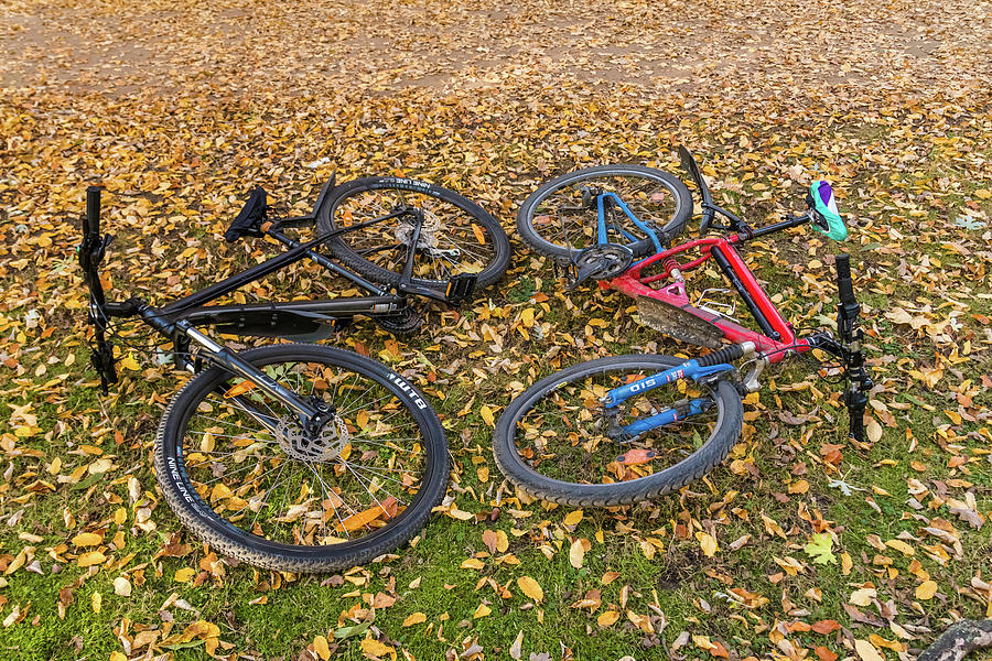 Autumn Bikes Photograph