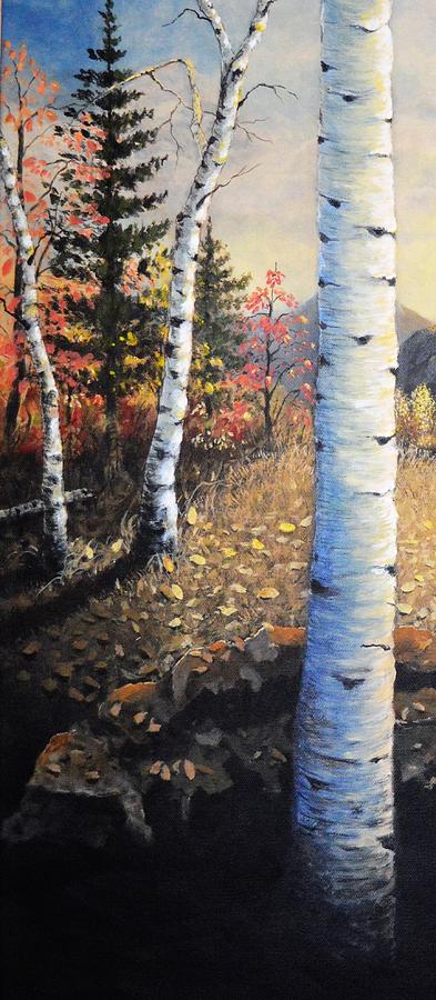Fall Painting - Autumn Birch Pine Maple by Kimberly Benedict