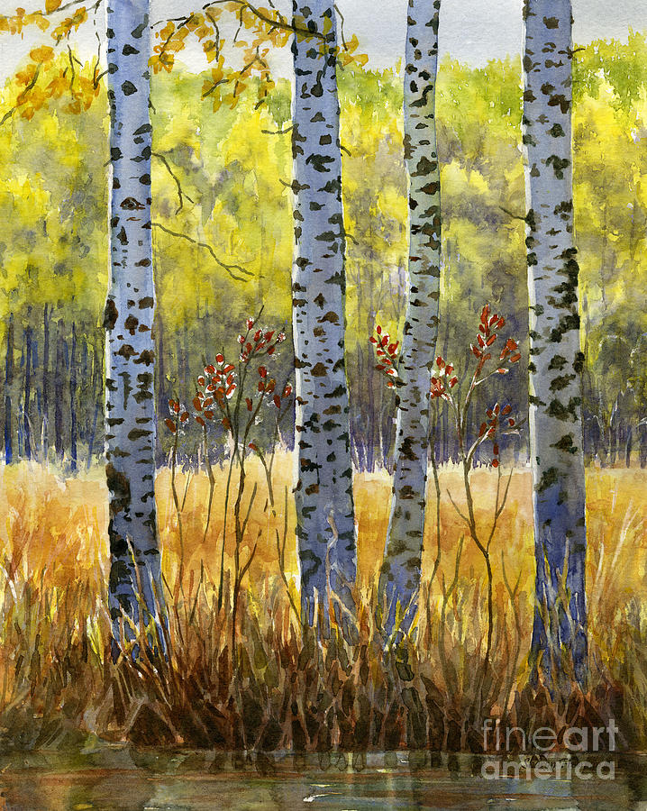 Tree Painting - Autumn Birch Trees in Shadow by Sharon Freeman