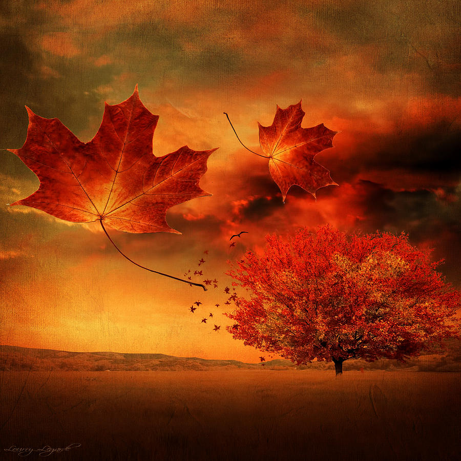 Fall Photograph - Autumn Blaze by Lourry Legarde