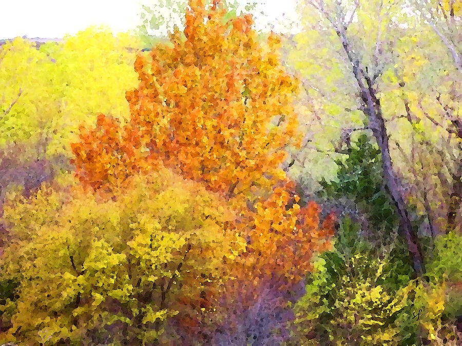 Tree Mixed Media - Autumn blaze  by Shelli Fitzpatrick
