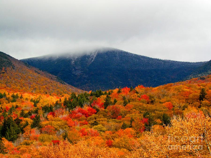 Autumn Bliss Photograph by Elizabeth Dow